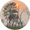 Sidra Shah profile picture
